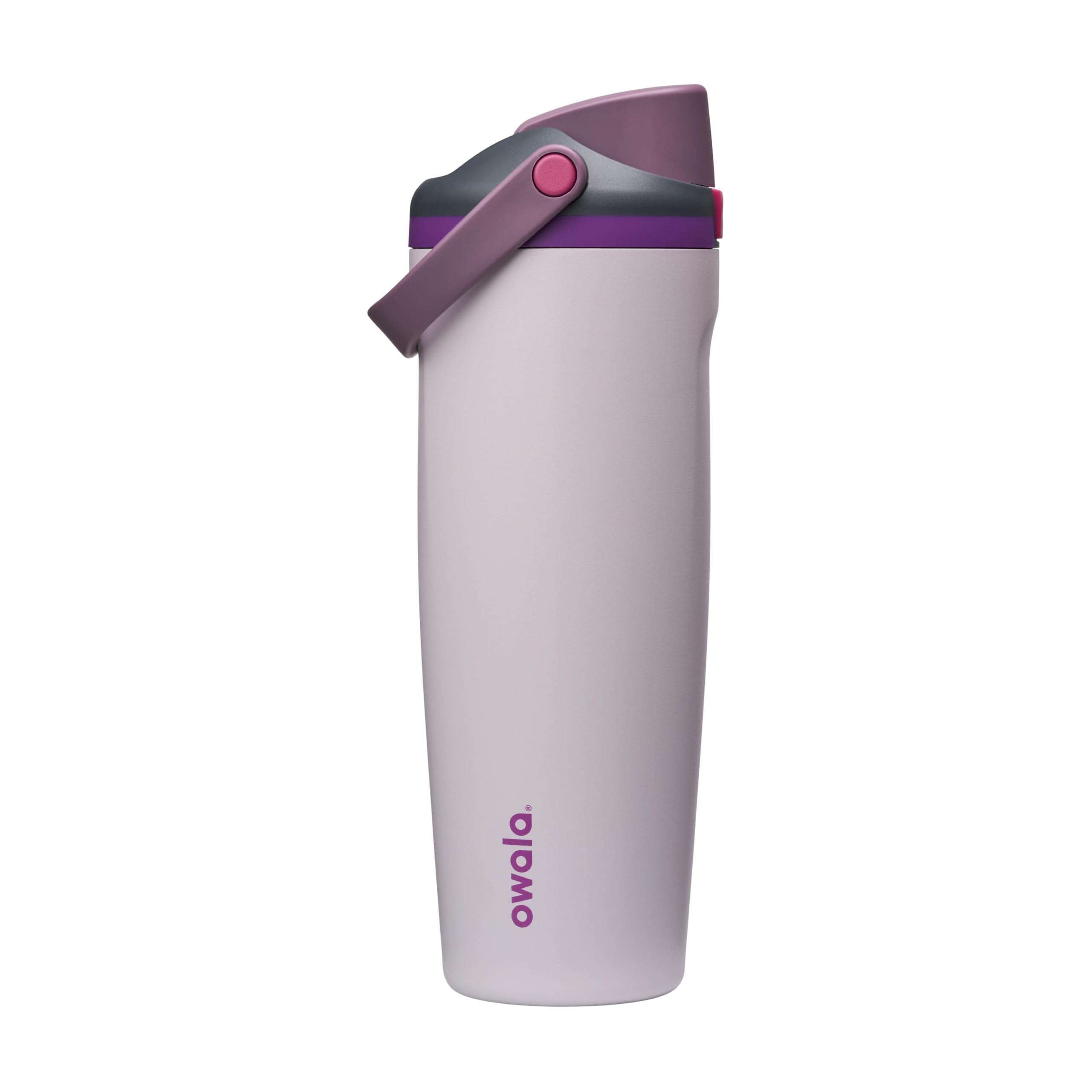 Owala FreeSip Sway Stainless Steel Water Bottle 30 oz Dreamy Field